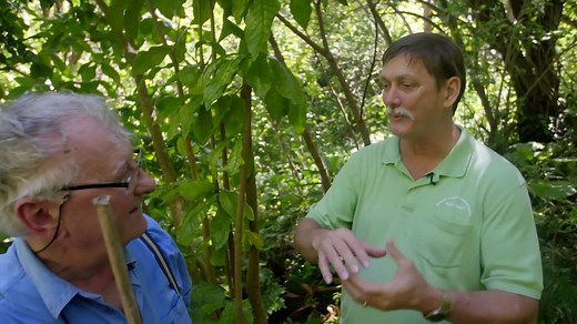 Evolution episode 1 - Hawaii