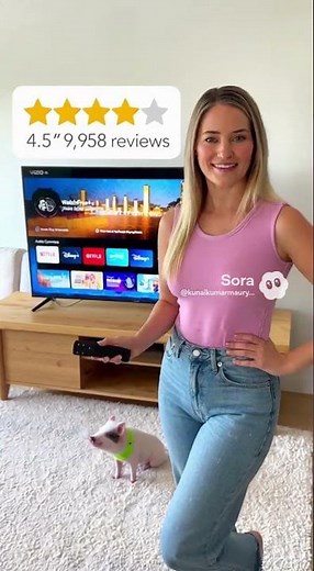 VIZIO 55” Class 4K UHD LED HDR Smart TV (V4K55M-08) Now $237.00 You save $113.00