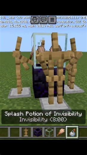 Minecraft Tik Tok hack