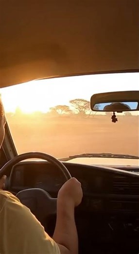 Angry Buffalo Chases Car Through Village Road! 🐃🚗💨