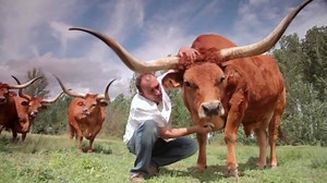 Bodega El Capricho: where to eat the best steak in the world in the back roads of Spain