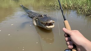 Why fishing in the gator pit feels like playing with death