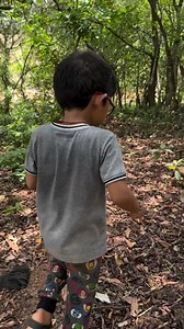772K views · 10K reactions | Enjoying the nut that grows outside the fruit  Have you tried the fruit?#naturelovers #nature #plants #garden #gardening #saveearth #organic #agriculture #naturelovers #naturelover #trees #cashew #cashewfruit #reels #kidsofinsta #instakid #trendingreels #kannada | AgniV | Facebook