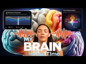Brain Activity in Real Time Shows Something Most People Miss