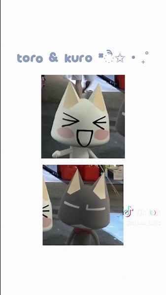 Unique Matching PFP Ideas for Cat Lovers