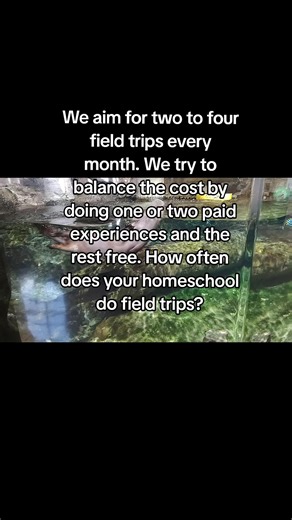 We aim for two to four field trips every month. We try to balance the cost by doing one a paid experience and the rest free. How often does your homeschool do field trips? #homeschoolonabudget #homeschoolmom #homeschool #homeschoolcommunity #homeschoolfamily