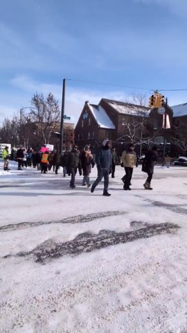 DOWNTOWN TRAVERSE CITY PROTEST