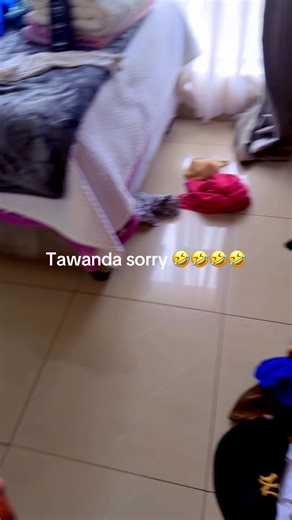 Madam Boss Updates: Tawanda's Apology and Latest Skits