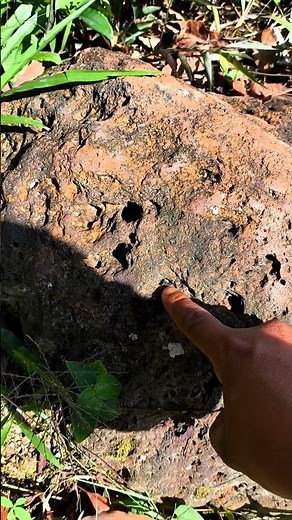 Wow OMG Finding a meteorite in the forest #gemstone #crystals #diamond #agate #jade #gold