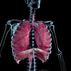 Rapid, shallow breathing is often referred to as tachypnea, which occurs when you take more breaths than usual in a given minute. This is usually defined as more than 20 breaths per minute in an adult. Conscious, controlled breathing exercises can help! Try this: 1.Sit comfortably or lay down place one hand on your stomach in one hand on your chest. 2. Breath in slowly through the nose and feel your stomach expand as you inhale the hand on your chest should move 3. Slowly excel through your mout