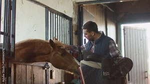 Man is stroking a horse in stable while holding a saddle. Shot on RED Cinema Camera.