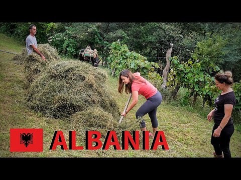 Village life in rural ALBANIA - traditional country life vlog in the Balkans 🇦🇱 [Ep. 2]