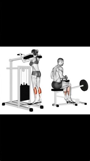 Calf Exercises: Free Video Exercise Guides | Muscle & Strength
