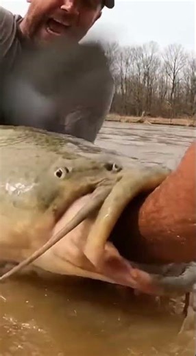 Catfish Locked On His Arm 47 Seconds Straight… Insane!😱🤯#HandVsCatfish #FishingGoneWrong