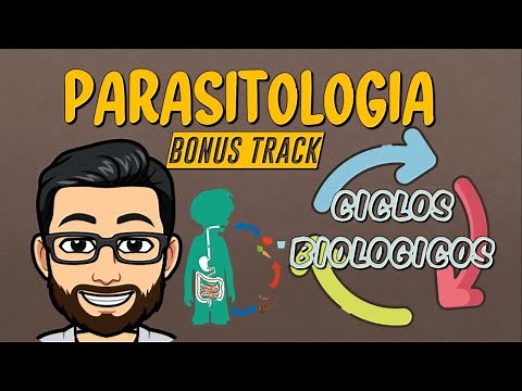 ✔APRENDE SOBRE LOS TIPOS DE CICLOS BIOLOGICOS♻