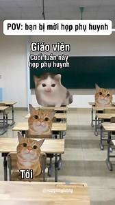 506K views · 10K reactions | Họp phụ huynh #meme #cat #j4f #nupgamgiuong | Núp Gầm Giường | Facebook