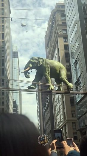 Spiderman vs Hulk but Acrobatic Elephant #spiderman #hulk #superhero #marvel #shorts #trending