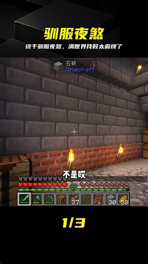馴龍之路（6）：馴服一只夜煞，滿世界找鞍#我的世界##游戲##游戲日常# #我的世界 #驯龙 #夜煞 #游戏日常 #装备