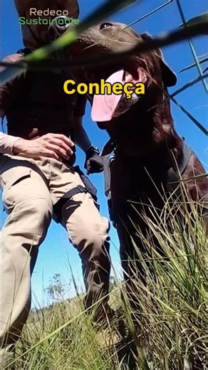 Maylon o cachorro das trilhas!
