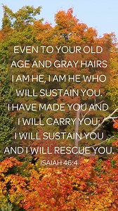 God promises to be near to us, to sustain us, to carry us. He is always there by your side. #GodIsNear #HeWillCarryYou #UnfailingGod #NeverAlone #FaithfulToTheEnd #GodWithUs #AlwaysByYourSide #TrustInHisCare #GodsFaithfulness #FromBeginningToEnd #GodsStrength | AmazingGrace.Life