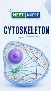 Cytoskeleton = Cell's Internal Framework | NEET #neet2027 #biology #celltheunitoflife