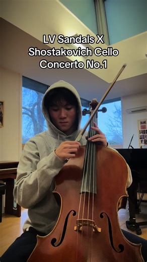 I apologize to all classically trained musicians #cello #mashup #song
