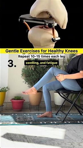 Scientific Benefits of Seated Leg Movements for Knee Health