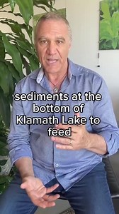 🌱Blue green algae, or AFA, is a key active botanical ingredient used in STEMREGEN®. Aphanizomenon Flos-Aquae (AFA) is a wild harvested Cyano To suport my page please check product by link in coment. #stemcellchristian #sciencelesson #stemcells #stemcelltherapy #science #biology #endogenousstemcellmobilization | stemcellchristin