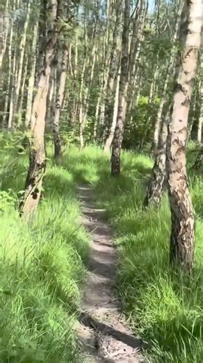 4K Walk through the English countryside in the sunshine - NEW video out now 🌱