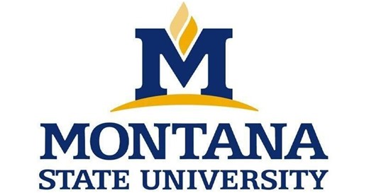 Six MSU Billings cross country runners injured in car crash ahead of meet