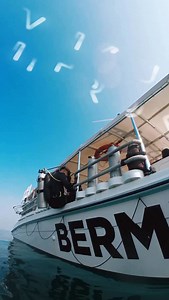 Why Divers Use Nitrox❓ Nitrox is simply a way to make diving easier on your body. By reducing how much nitrogen you breathe, your body gets less tired, recovers faster, and allows you to enjoy dives more comfortably, especially when doing multiple dives in a day. We invite you to take the Nitrox (Enriched Air) course with us and dive smarter, safer, and longer ☝️ #scubadiving #nitrox #enrichedair #padidiving #scubadivingcourses | Bermuda Diving Center