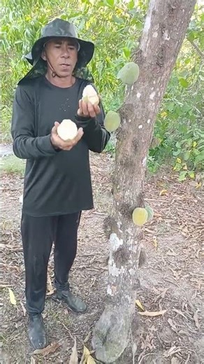 Daily life in the countryside, life on the farm #countrylife #countrywise #satisfying #countryfla...