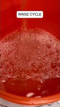 Final step of the full cycle: rinse and reveal clean clothes with the Divya manual washing machine🧺