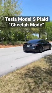 The CHEETAH Mode Is Fast #silentbutdeadly #cheetahmode #tesla #telsamodels | AutoVlog