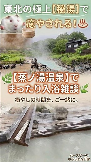 【極上の秘湯】蔦温泉・黒湯(乳頭温泉)・蒸ノ湯温泉をゆるふわ散歩♨️ #shorts