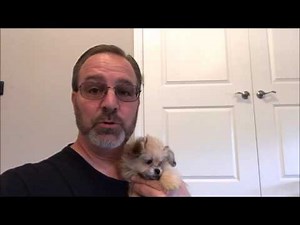 Adding Risers to the Kitchen Cabinets