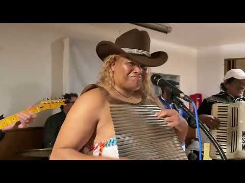 Mark St Mary & his Louisiana Blues & Zydeco Band - January 26, 2025
