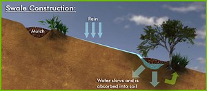 Permaculture Swales