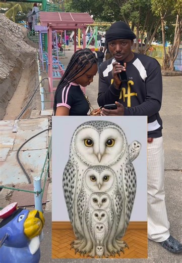 The Fascinating World of Owls: Species and Population