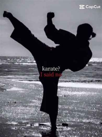 *fail : karate photo came in*