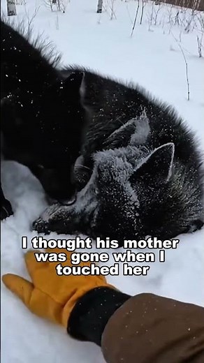 He Was Hanging Off A Cliff... But He Wasn't The One Who Needed Help