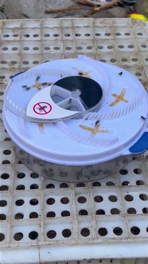 ▶️ Automatic Electric Insect Flycatcher — Best Indoor Bug Trap & Fly Catcher 2026 ( # 3137 )