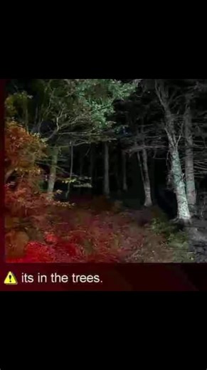 Sorry. #dc #? #creepypasta #creepy