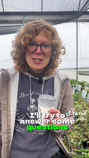 Shade Perennials: Best Plants for Low Sunlight Gardens