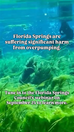 Florida Springs Council on Instagram: "Why is flow declining in #FloridaSprings? Learn about overpumping, Minimum Flows and Levels, recovery strategies, water use permitting and more during our next webinar! 🗓️ Wednesday, September 24 ⏰ 6:30 PM 💻 Facebook and YouTube livestream 🙋‍♀️ Questions for FSC on spring flow? Drop your questions in the comments or DM us! #springs #springsadvocacy #florida"