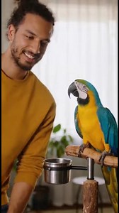 4.4K views · 108 reactions | So it got angry. | Talkie funny Parrot | Facebook