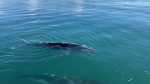 32K views · 2.2K reactions | You never know who you’ll see at the end...