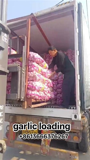 #garlic #supplier #export #import #factory #carrot #ginger #dealer #loading #distributor #wholesale