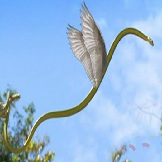 The Amazing Paradise Flying Snake - Wildest Islands Of Indonesia | Daily Reptile