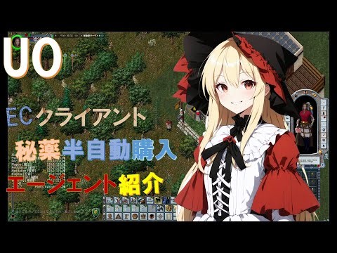 【UO】エージェントセッティングで秘薬の半自動購入 Agent Settings ウルティマオンライン Ultima Online the forcused mage